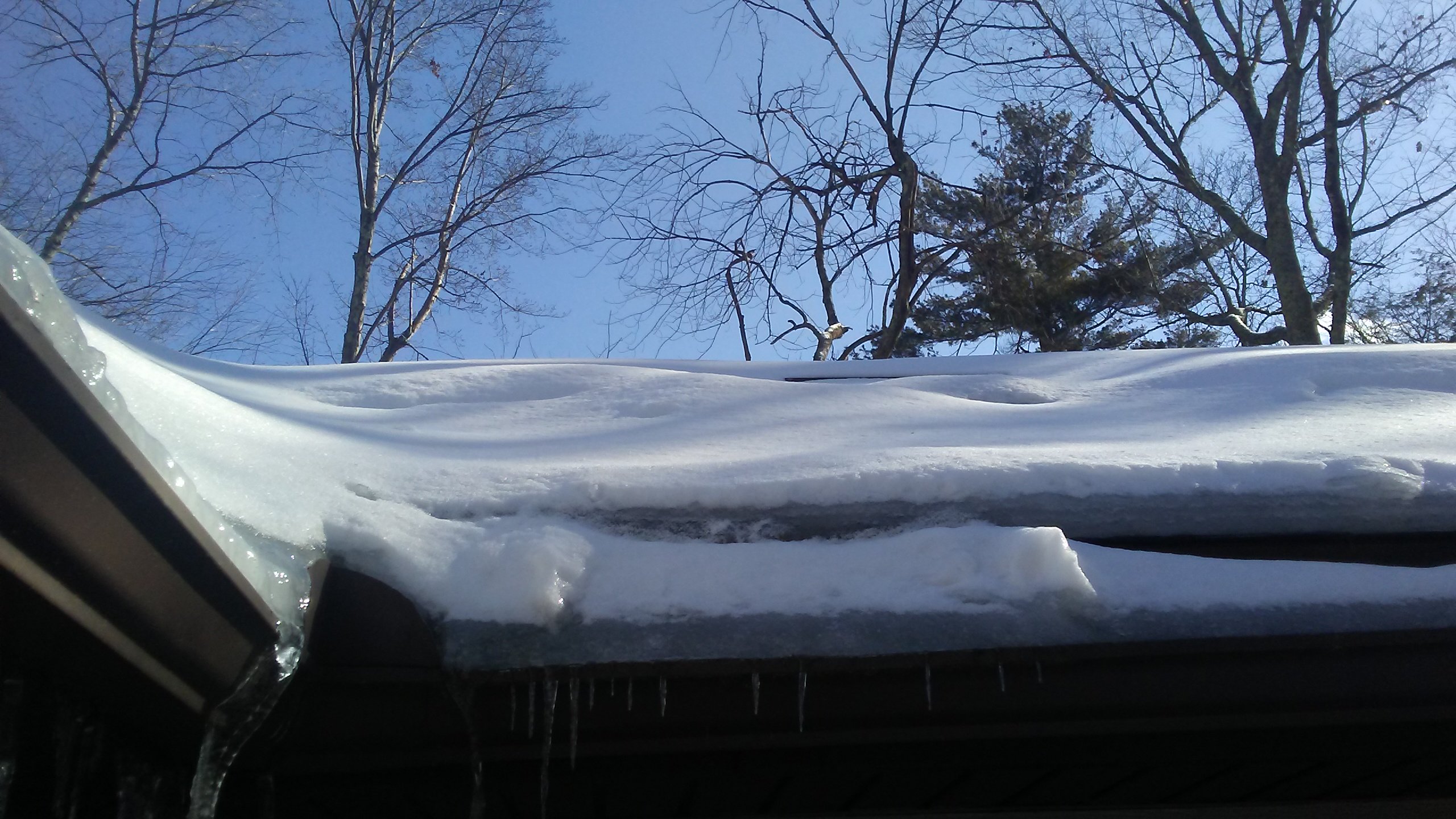 Ice Dam on a shingle roof with gutter